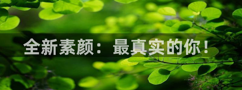 天美娱乐app下载|下载地址