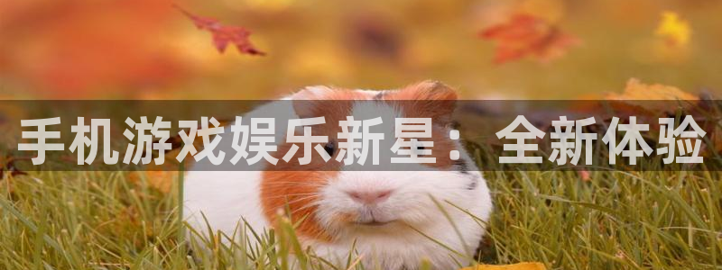 天美娱乐平台官网登录