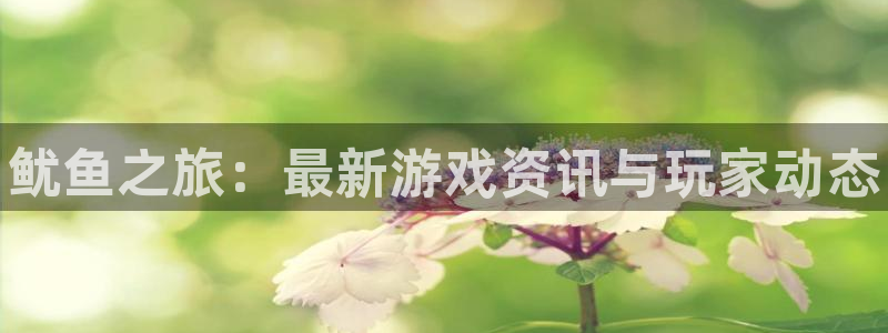 天美娱乐是什么