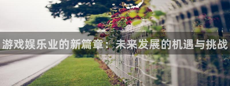 天美娱乐平台官网入口：游戏娱乐业的新篇章：未来发展的机遇与挑