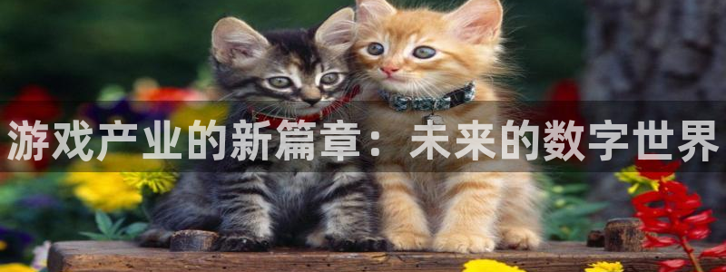 天美娱乐：游戏产业的新篇章：未来的数字世界
