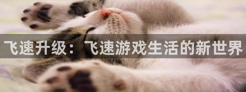 天美娱乐注册服务条款：飞速升级：飞速游戏生活的新世界