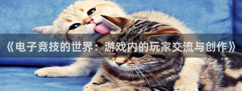 天美娱乐注册地址：《电子竞技的世界：游戏内的玩家交流与创作》