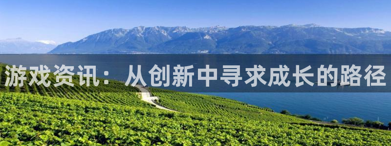 天美娱乐游戏：游戏资讯：从创新中寻求成长的路径
