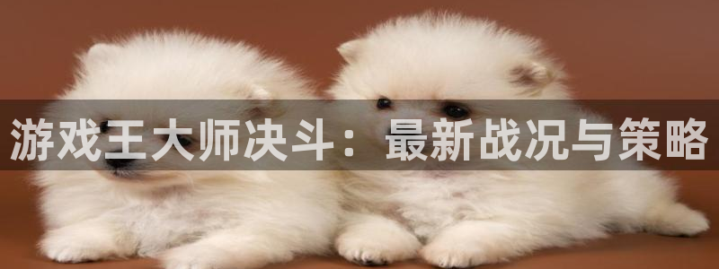 天美娱乐代理登陆：游戏王大师决斗：最新战况与策略