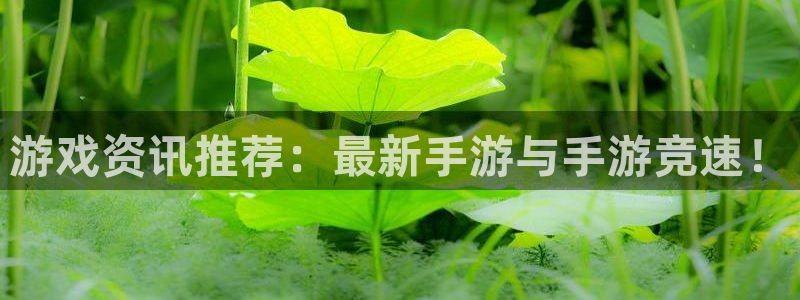 天美娱乐注册网站：游戏资讯推荐：最新手游与手游竞速！