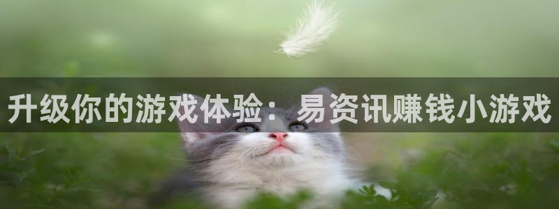 天美娱乐app：升级你的游戏体验：易资讯赚钱小游戏