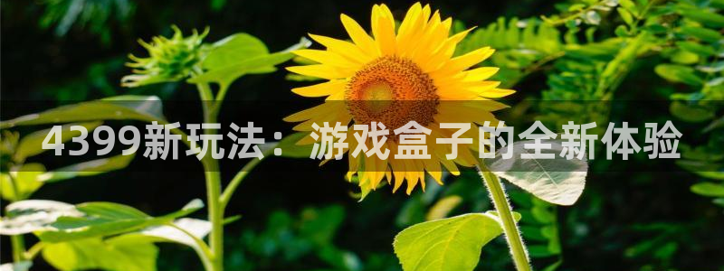 天美娱乐网页登录入口：4399新玩法：游戏盒子的全新体验