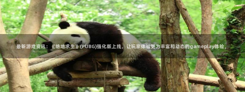 天美娱乐app下载|下载地址