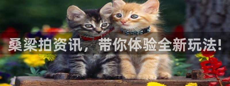 天美娱乐网页登录入口下载：桑梁拍资讯，带你体验全新玩法!