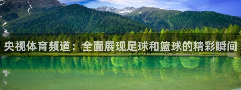 51视频在线直播nba：央视体育频道：全面展现足球和篮球的精彩瞬间