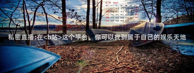 51视频在线直播nba：私密直播:在<b站>这个平台，你可以找到属于自己的娱乐天地
