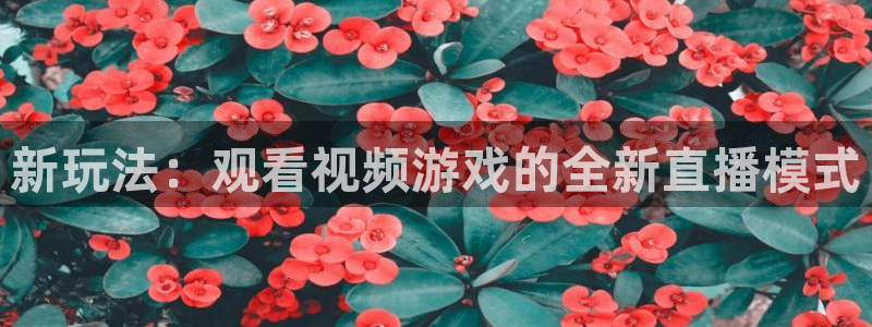 51视频在线直播nba：新玩法：观看视频游戏的全新直播模式