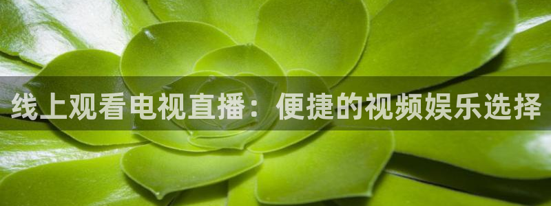 51视频在线直播nba：线上观看电视直播：便捷的视频娱乐选择
