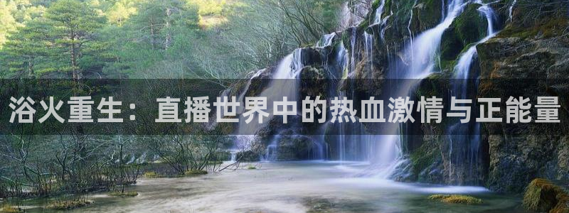 51视频在线直播nba：浴火重生：直播世界中的热血激情与正能量