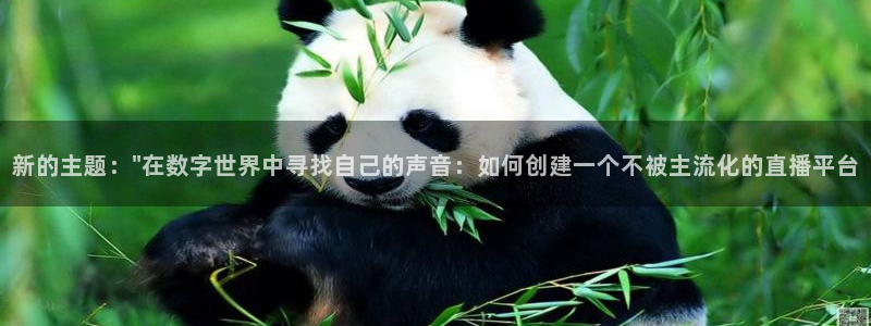 51视频在线直播nba：新的主题：\